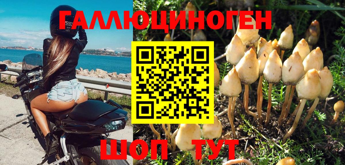 Балашов  Псилоцибиновые грибы GOLDEN TEACHER  Вход с VPN 